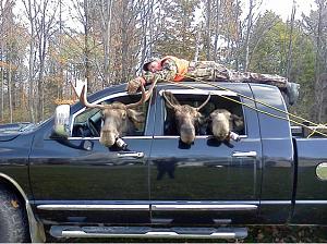 moose hunting.jpg