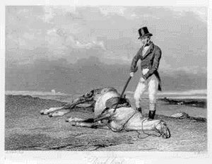 Flogging a dead horse.gif