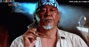 Click image for larger version. 

Name:	Mr_Miyagi_catches_fly_with_chopsticks.gif 
Views:	417 
Size:	918.9 KB 
ID:	103122