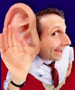 Click image for larger version. 

Name:	big ear.jpg 
Views:	288 
Size:	10.1 KB 
ID:	112809