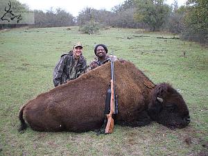 Click image for larger version. 

Name:	Quackenbush bison.jpg 
Views:	27 
Size:	173.3 KB 
ID:	161748