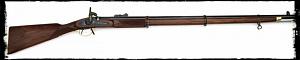 Click image for larger version. 

Name:	WhitworthRifle.jpg 
Views:	41 
Size:	14.3 KB 
ID:	176787