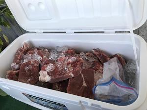 Click image for larger version. 

Name:	Pig_Meat_ice_chest_full.jpg 
Views:	35 
Size:	134.9 KB 
ID:	215592