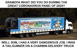 Click image for larger version. 

Name:	Charmin-truck-tail-gunner.png 
Views:	34 
Size:	168.1 KB 
ID:	261972
