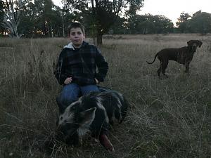 Click image for larger version. 

Name:	cooma pig liam.jpg 
Views:	32 
Size:	167.6 KB 
ID:	63078