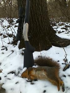 Click image for larger version. 

Name:	H&R Squirrel.jpg 
Views:	33 
Size:	44.7 KB 
ID:	228057