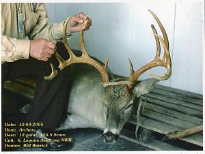 Click image for larger version. 

Name:	Deer Laguna Atascosa.jpg 
Views:	13 
Size:	62.7 KB 
ID:	254389
