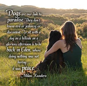 Click image for larger version. 

Name:	Love Of A Dog.jpg 
Views:	12 
Size:	130.1 KB 
ID:	209481