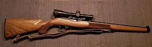 Click image for larger version. 

Name:	New Ruger 1022.jpg 
Views:	14 
Size:	76.5 KB 
ID:	270271