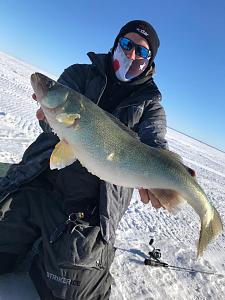 Click image for larger version. 

Name:	IMG952534Noels walleye.jpg 
Views:	18 
Size:	40.3 KB 
ID:	259597