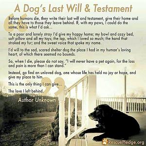 Click image for larger version. 

Name:	7_31_14-Dogs-Last-Will-Testament2_zpsi47zecdx.jpg 
Views:	73 
Size:	78.8 KB 
ID:	191933