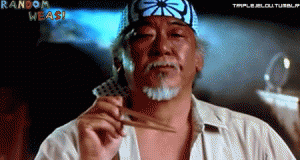 Click image for larger version. 

Name:	Mr_Miyagi_catches_fly_with_chopsticks.gif 
Views:	417 
Size:	918.9 KB 
ID:	103122