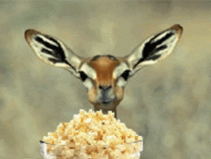 Click image for larger version. 

Name:	popcorn impala.gif 
Views:	13 
Size:	291.1 KB 
ID:	301551