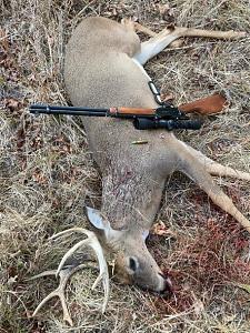 Click image for larger version. 

Name:	buck 1 opt.jpg 
Views:	138 
Size:	113.9 KB 
ID:	306958