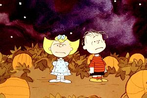 Click image for larger version. 

Name:	great-pumpkin-charlie-brown-pumpkin-patch.jpg 
Views:	19 
Size:	132.9 KB 
ID:	206512