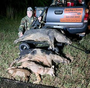 Click image for larger version. 

Name:	hogs and coyote.jpg 
Views:	55 
Size:	102.6 KB 
ID:	300446