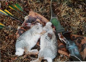 Click image for larger version. 

Name:	1980 Cottontails.jpg 
Views:	14 
Size:	96.2 KB 
ID:	254386