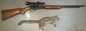 Click image for larger version. 

Name:	Eastern Gray squirrel Rem 572 CCI CB short 4-21-2014.jpg 
Views:	38 
Size:	25.2 KB 
ID:	134294
