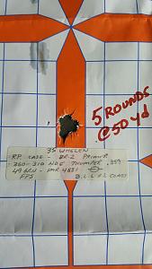 Click image for larger version. 

Name:	310 thumper target.jpg 
Views:	42 
Size:	27.5 KB 
ID:	306457