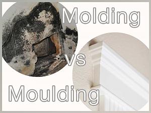 Click image for larger version. 

Name:	molding-vs-moulding.jpg 
Views:	16 
Size:	58.2 KB 
ID:	167557