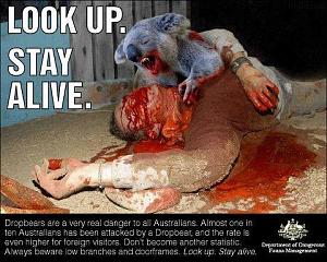 Click image for larger version. 

Name:	Drop_Bears.jpg 
Views:	113 
Size:	53.0 KB 
ID:	73662