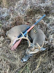 Click image for larger version. 

Name:	ww buck nov 23 2 opt.jpg 
Views:	63 
Size:	93.1 KB 
ID:	320579