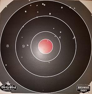 Click image for larger version. 

Name:	Small Target 40 yards.jpg 
Views:	18 
Size:	65.1 KB 
ID:	198309