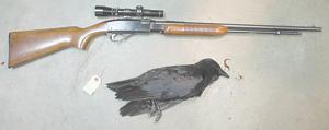 Click image for larger version. 

Name:	Remington 572 field Master 22 CB Short crow 4-24-2014.jpg 
Views:	33 
Size:	21.5 KB 
ID:	174227