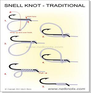 Click image for larger version. 

Name:	snell-knot-traditional.jpg 
Views:	54 
Size:	88.5 KB 
ID:	150198