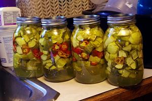 Click image for larger version. 

Name:	Pickles.jpg 
Views:	23 
Size:	64.9 KB 
ID:	224951