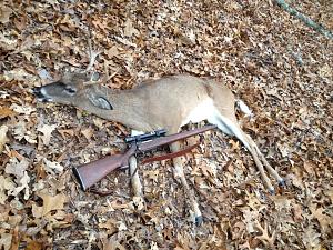 Click image for larger version. 

Name:	Rick's Six Point 2013.jpg 
Views:	17 
Size:	136.1 KB 
ID:	319988