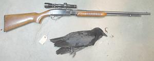 Click image for larger version. 

Name:	Remington 572 field Master 22 CB Short crow 4-24-2014.jpg 
Views:	42 
Size:	21.5 KB 
ID:	134293