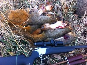 Click image for larger version. 

Name:	squirrels.jpg 
Views:	54 
Size:	209.0 KB 
ID:	111646