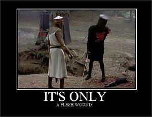 Click image for larger version. 

Name:	Flesh Wound.jpg 
Views:	20 
Size:	47.1 KB 
ID:	289668
