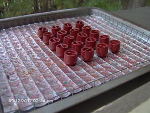 Click image for larger version. 

Name:	Red Slugs in the Sunlight.JPG 
Views:	110 
Size:	162.3 KB 
ID:	203956