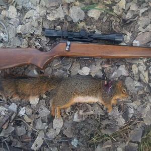 Click image for larger version. 

Name:	Stevens 322 Squirrel.jpg 
Views:	65 
Size:	64.1 KB 
ID:	230932