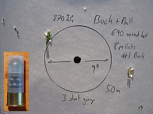 Click image for larger version. 

Name:	Buck_and_Ball_690_Ball_and_1_buck_50m_lowres.jpg 
Views:	149 
Size:	58.2 KB 
ID:	200768